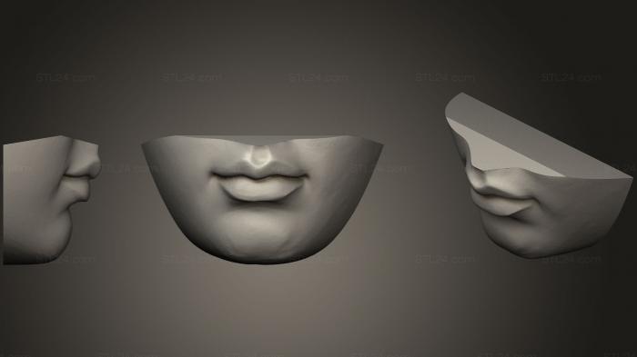 Анатомия скелеты и черепа (Bocca, ANTM_0292) 3D модель для ЧПУ станка